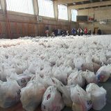 U toku isporuka paketa podrške penzionerima u Boru 11