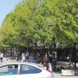 U Kraljevu od 836 testiranih, 32 pozitivno na korona virusa 6