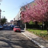 Broj zaraženih u odnosu na broj testiranih u Kraljevu ispod 4 odsto 1