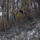 Ugašen požar kod Užica i Arilja 4