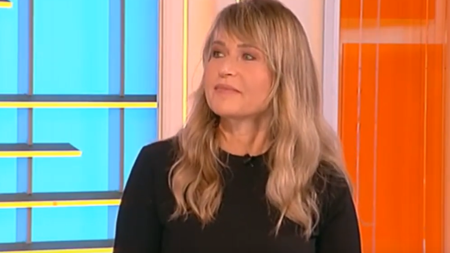 Anica Dobra: Od nas se sada traži da ne radimo ništa (VIDEO) 1