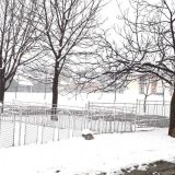 Novi snežni talas na jugu Srbije 7