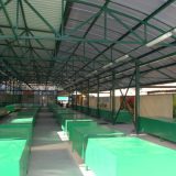 Veliko Gradište otvara zelene pijace od srede 12