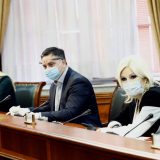 Mihajlović: Bezbednost nije samo oružje 12