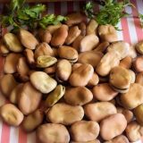 Bob - fava pasulj kao humus (recept) 1