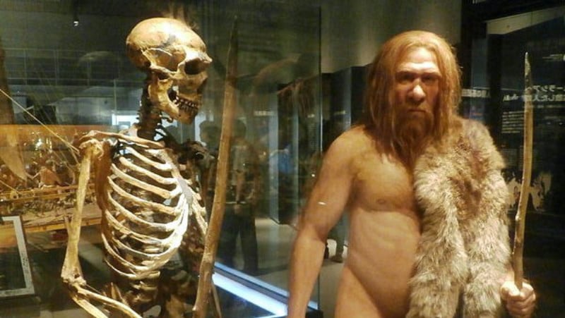 Priča o jednom neandertalcu 1