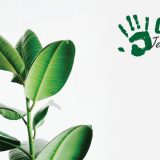 Više od 4 miliona dinara pomoći GRAWE osiguranja tokom vanredne situacije 2