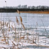 Kako naučnici znaju kolika je bila temperatura na Zemlji pre 800.000 godina? 8