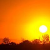 Mogu li letnje temperature pomoći u suzbijanju virusa korona? 5