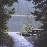 Potrebno pravednije trošenje budžeta za šume na lokalnom nivou 8