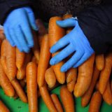 Investitorima u prehrambenom sektoru odobreno više od 38 miliona evra podsticaja 10