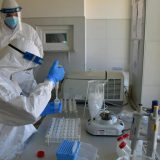 Raste broj aktivno zaraženih od korona virusa u Boru, Kladovu i Majdanpeku 6