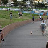 Australija prijavila redak slučaj ponovne infekcije korona virusom 3