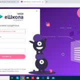 Ko je privatnoj firmi dao podatke đaka 9