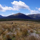 Šetači pronađeni posle 19 dana u divljini 3