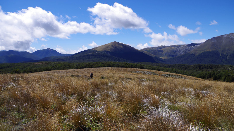 Šetači pronađeni posle 19 dana u divljini 1