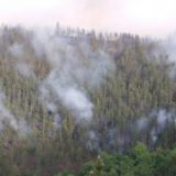 Veliki požar na Kopaoniku, gori i šuma oko manastira Studenica, evakuisano šest domaćinstava 11
