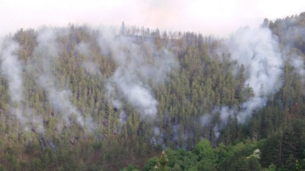 Veliki požar na Kopaoniku, gori i šuma oko manastira Studenica, evakuisano šest domaćinstava 1