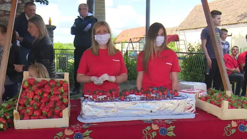 Festival jagode u Culjkoviću 1