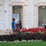 Počela sadnja cveća u Beogradu: Najviše salvije, kadife, vinke, begonije 1