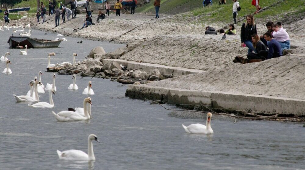 Očišćeno priobalje Dunava i kej sa prilazom ka plaži Lido 1