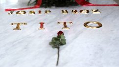 Kuću cveća danas posetio mnogo manji broj ljudi nego prethodnih godina (FOTO) 12