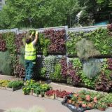 Ispitivanje: Građani traže bolju komunikaciju sa komunalnim preduzećima 8