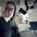 Model koji je primenjen u Belgiji može da se primeni i u Srbiji 1