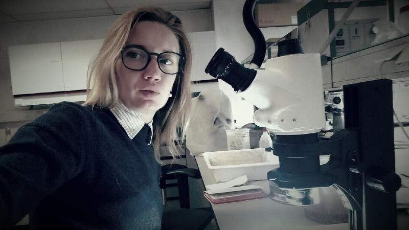 Model koji je primenjen u Belgiji može da se primeni i u Srbiji 1