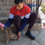 Zookutak prikuplja sredstva za zbrinute životinje (VIDEO) 8
