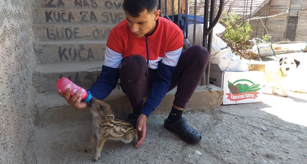 Zookutak prikuplja sredstva za zbrinute životinje (VIDEO) 1