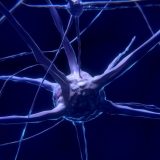 Nataša Sredenović: Svake godine oboli još 300 ljudi od multiple skleroze 8