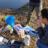 Nove vrste silikatnih algi otkrivene u Parku prirode Rusanda 12