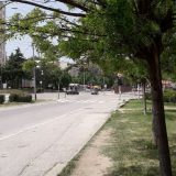 Vranje: Lukasov koncert bez epidemiološkog nadzora 12