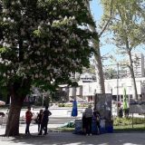 U Užicu dva nova slučaja infekcije korona virusom 2