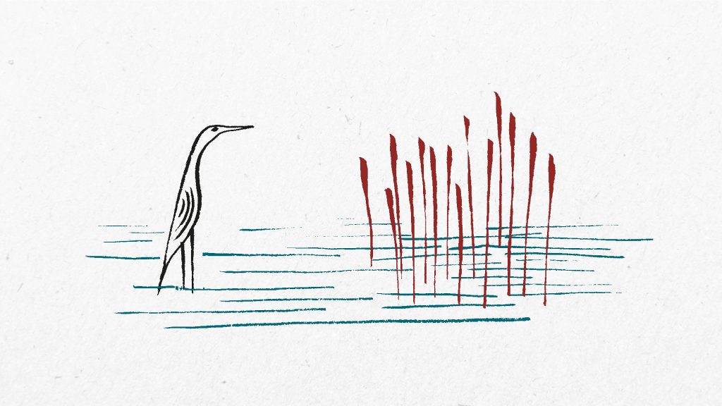 Briga o zaštiti prirode se doživljava kao sputavanje vlasti 2