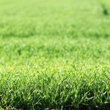 Koliko se klima u Srbiji promenila u poslednjih 30 godina? 3