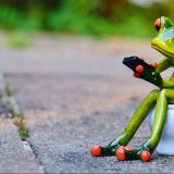 Jutarnje navike u Srbiji - toalet, mobilni telefon, pa tek onda kafa 6