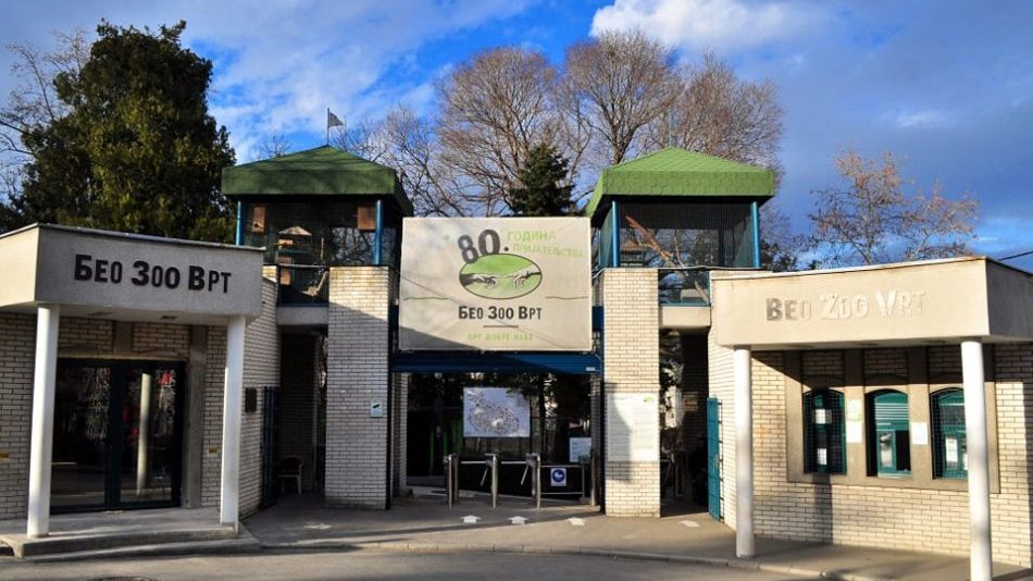 Ministarstvo prostora o selidbi Zoološkog vrta: Nastavak loše prakse isključivanja javnosti u donošenju odluka 1