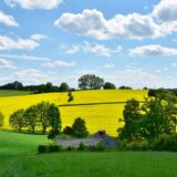 Opasnost za svetsku proizvodnju hrane 2