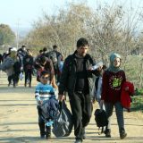 U Prihvatni centar ''Četvrti kilometar'' kraj Pirota danas stižu 172 migranta iz Sombora 1