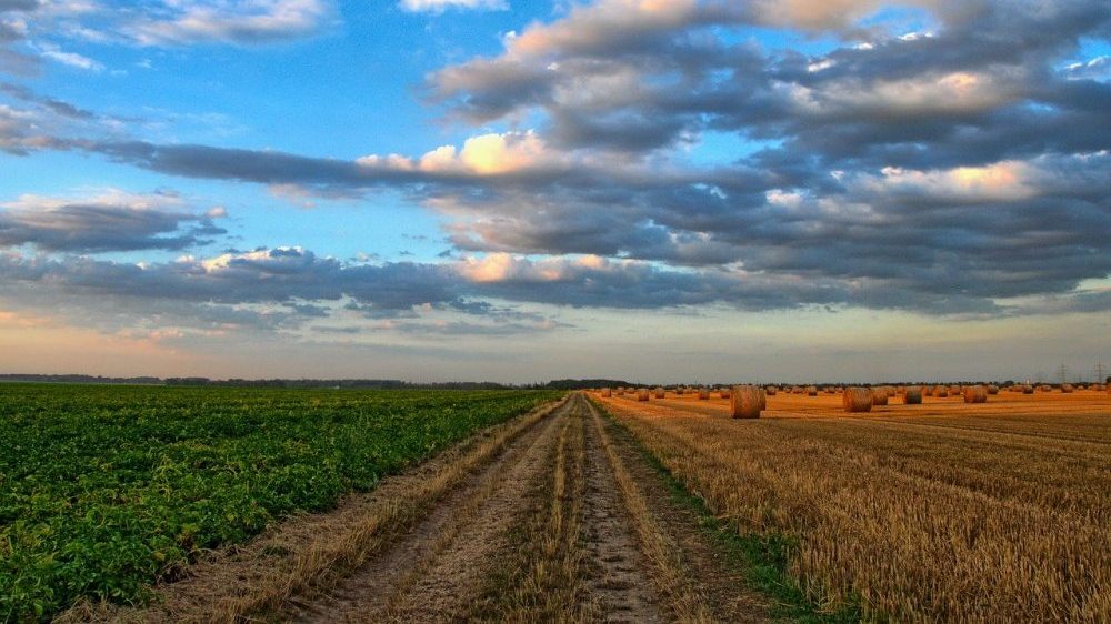 Agrosmart i VOICE: Problem nesavesne primene hemijskih preparata još uvek nerešen 1