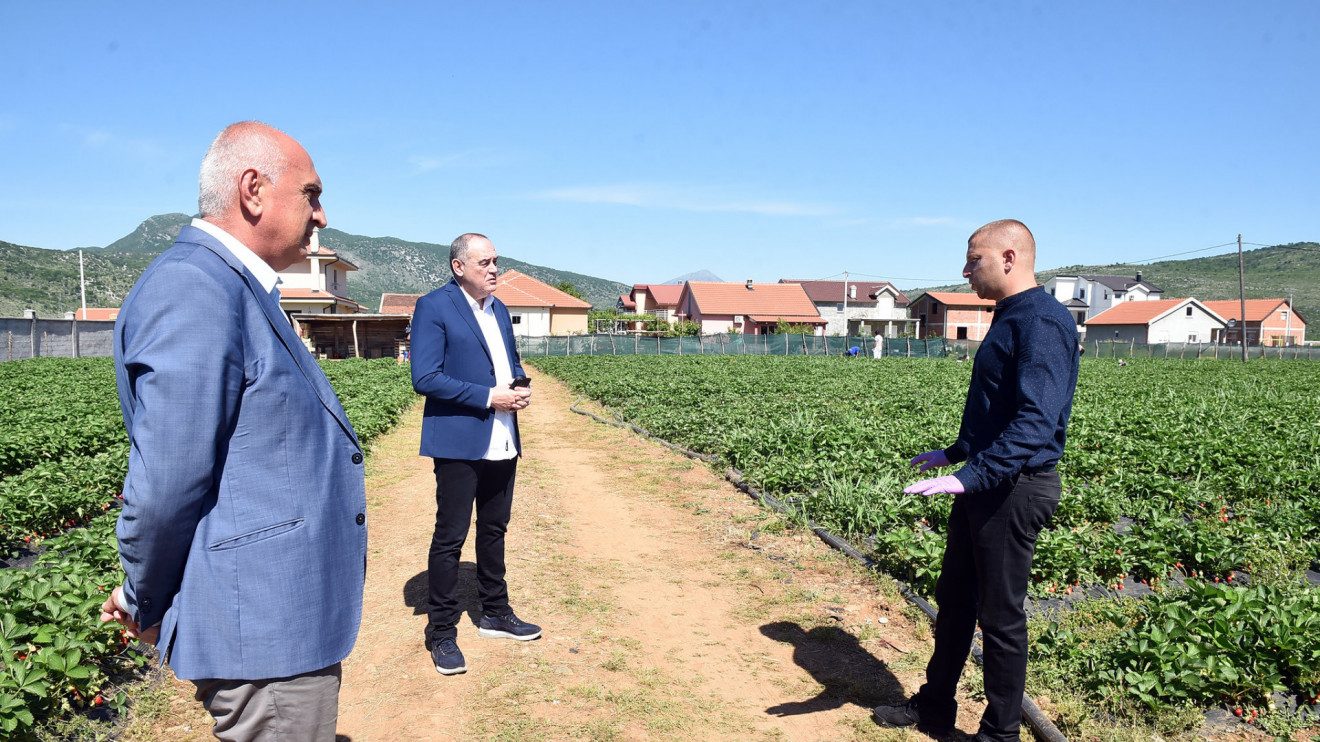 Nova mera podrške poljoprivrednicima u Crnoj Gori 1
