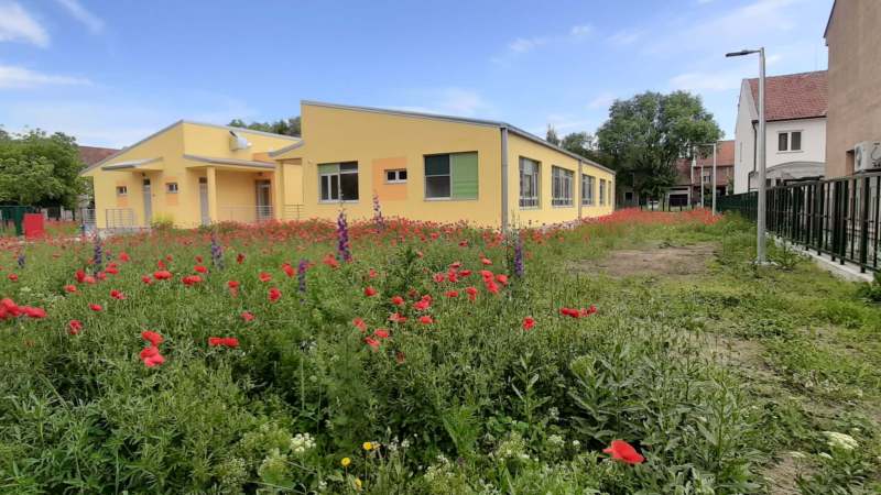 Zrenjanin: Gde je zapelo s vrtićem? 1