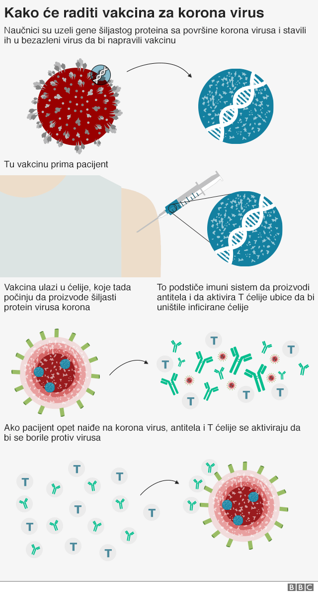 Korona virus: Evropske zemlje popuštaju mere na granicama, srpski državljani mogu u Grčku bez karantina 5 vakcina protiv korona virusa