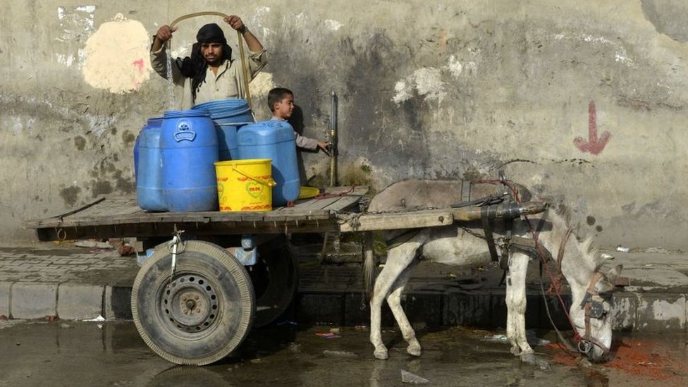 Klimatske promene: Naučnici su upozoravali na smrtonosne temperature za 50 godina – ali da li su one već stigle 4 A man fills plastic containers with water on a cart drawn by a donkey