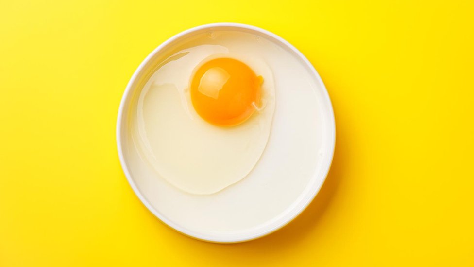 Živo jaje na tanjiru