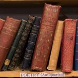 Slučaj Desanke Maksimović: Tviter pomilovanje i druge rupe u programu 7