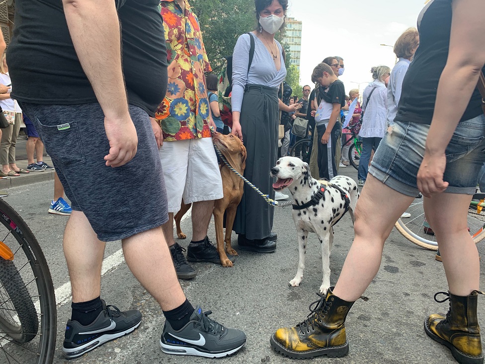 Protest protiv izgradnje mini hidroelektrana: „Ne moramo biti mnogo pametni da shvatimo koliki je problem" 9 protest