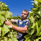 Najveći pad industrije u Srbiji još od globalne krize 7